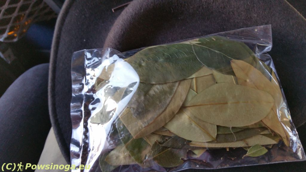 Woreczek z liśćmi koki - do kupienia "na każdym rogu" .