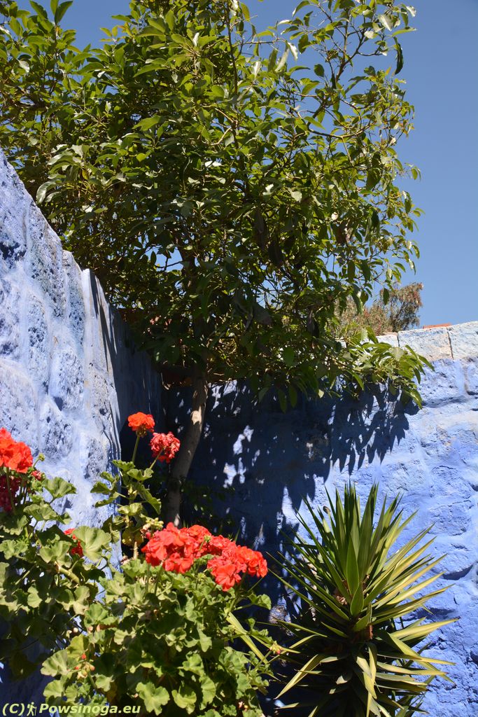 W klasztorze Santa Catalina.